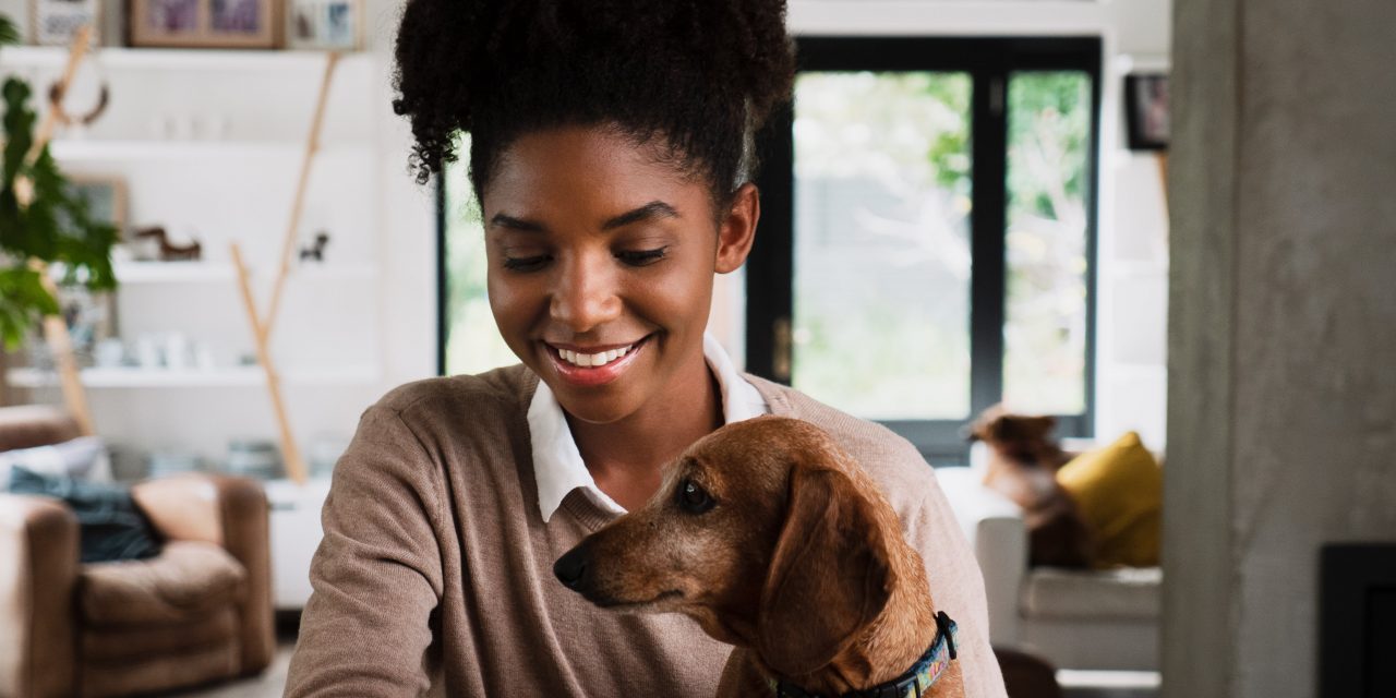 The Onepet Store: How Oneplan Pet Parents can get their premium back in savings