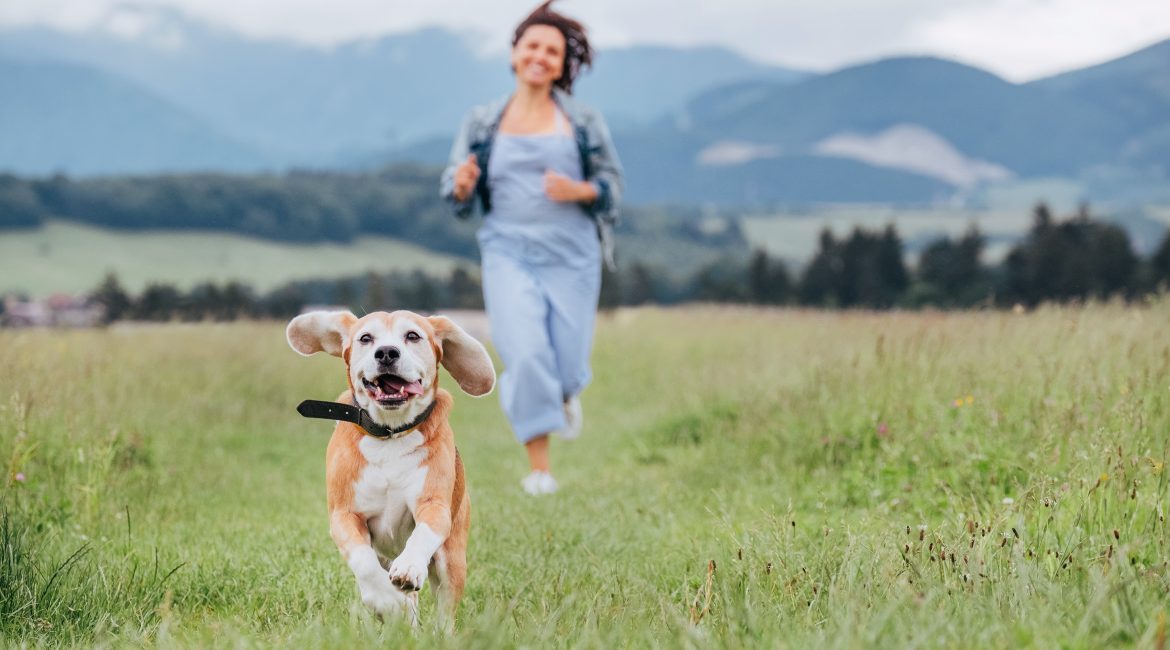 exercise with your dog