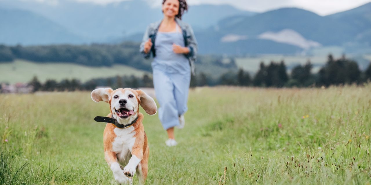 7 Ways to Exercise with Your Dog