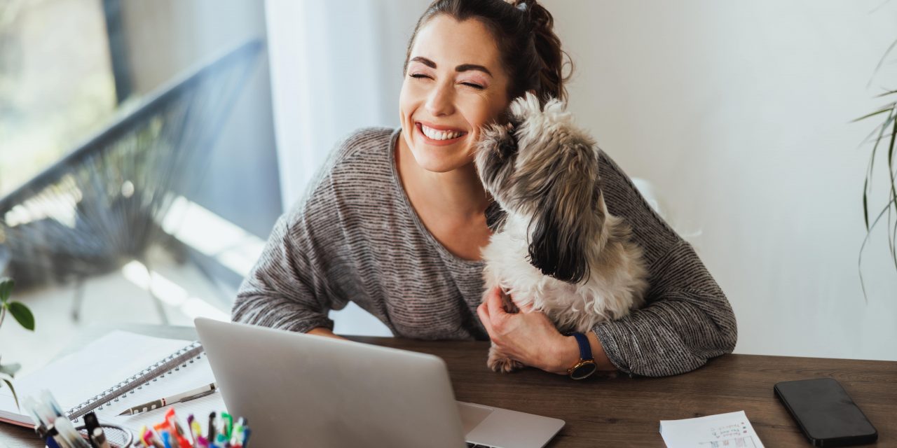 How do I upgrade or downgrade my Oneplan Pet Insurance plan?