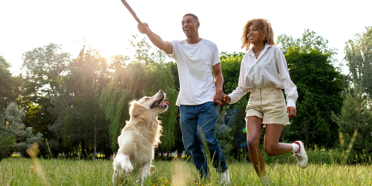 Top 5 Dog Parks Johannesburg (for getting out and about this spring!)