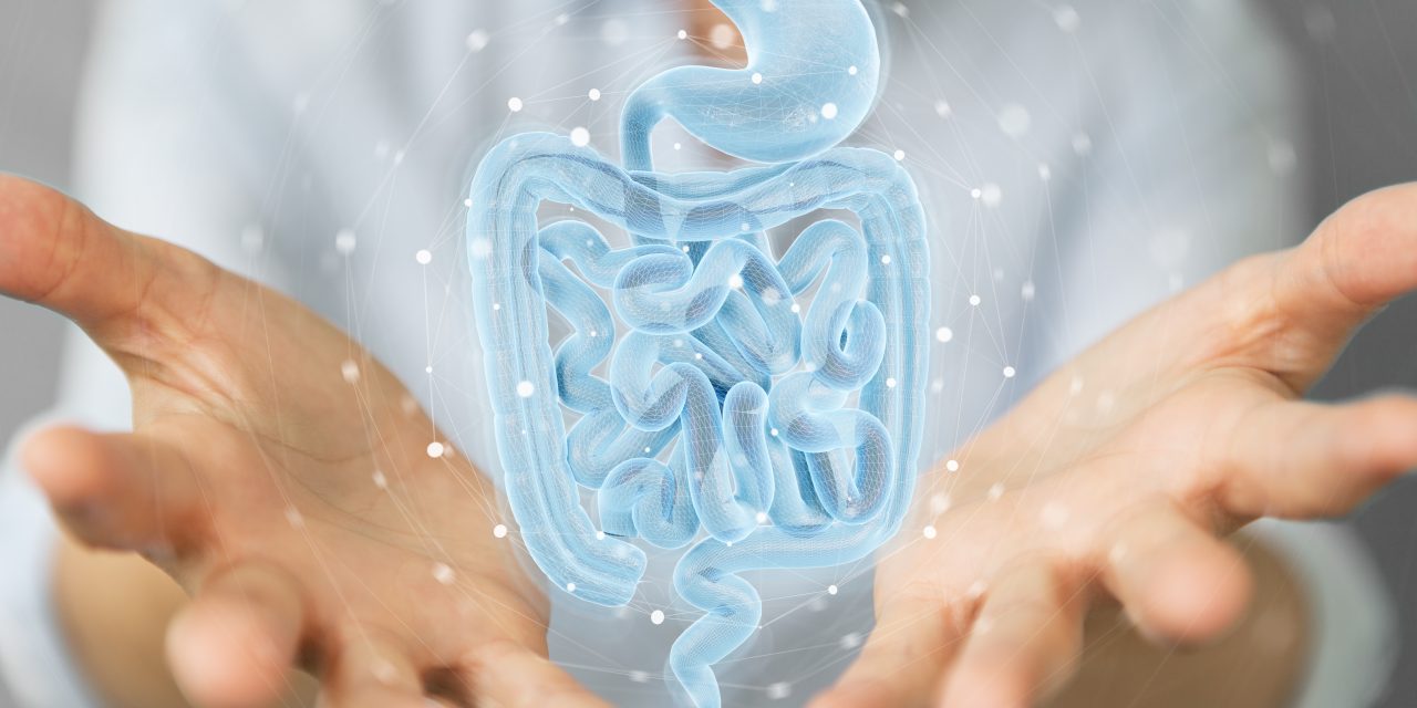 6 Symptoms of Poor Gut Health (Plus how to improve it)