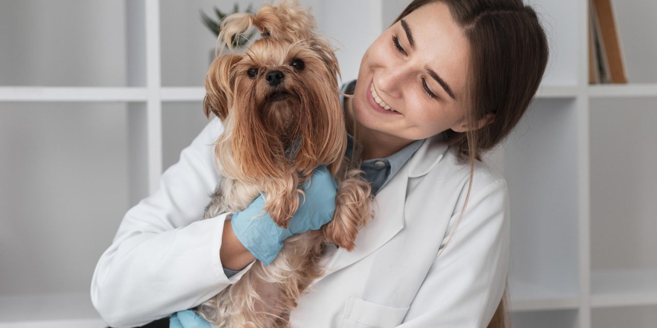 What’s New with Oneplan Pet Insurance in 2024?