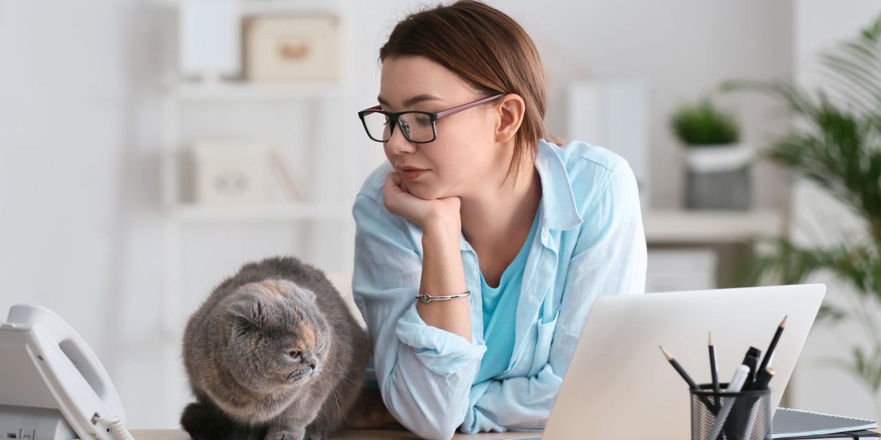 What happens if I don’t pay my pet insurance premium?