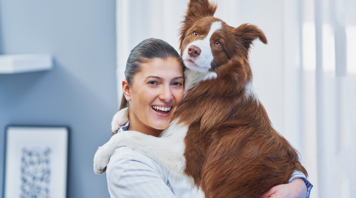 pet insurance plans for dogs