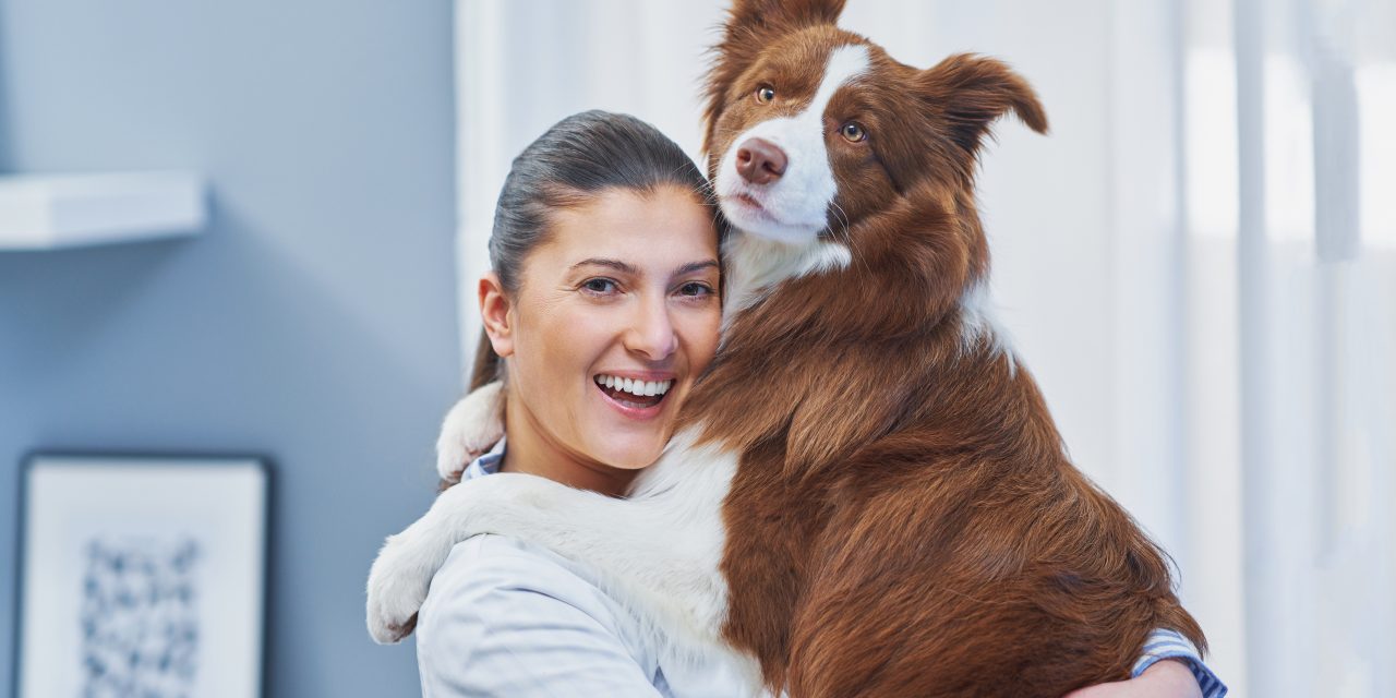 Oneplan’s Pet Insurance Plans for Dogs That Are Healthy