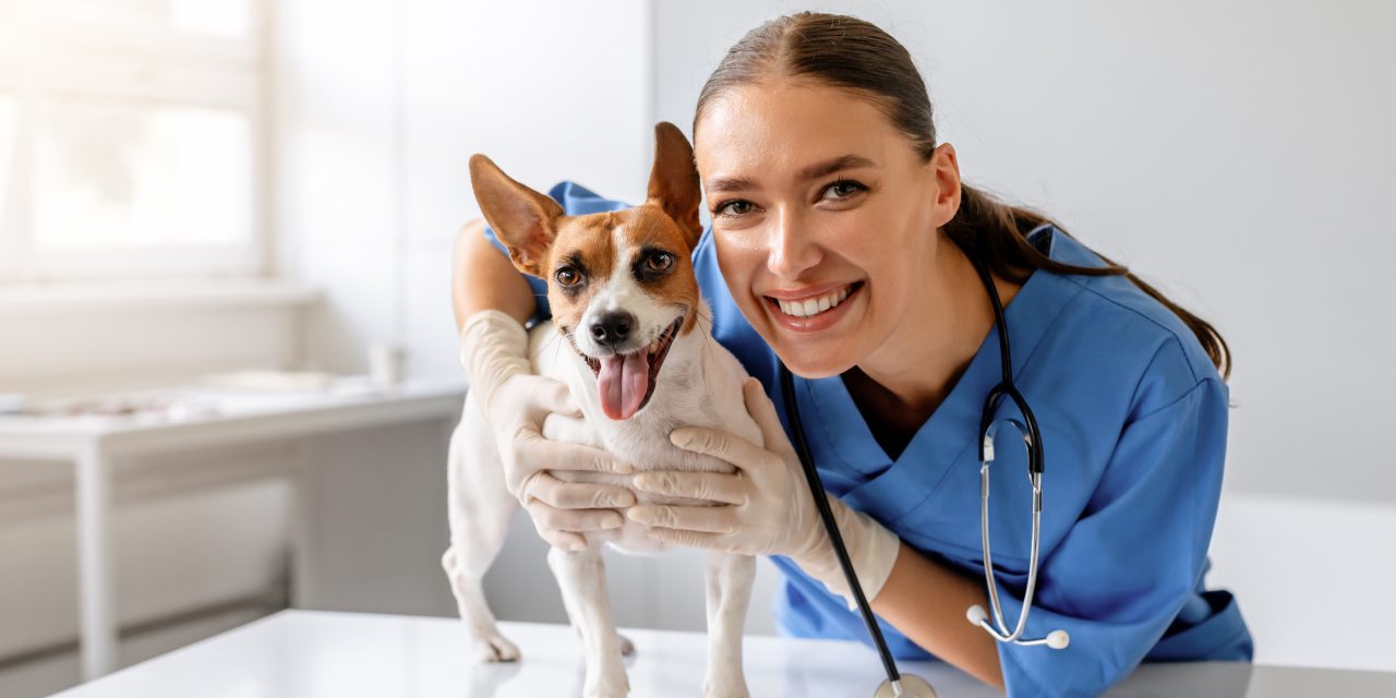 No Vet Network with Oneplan Pet Insurance: Keep Your Favourite Vet