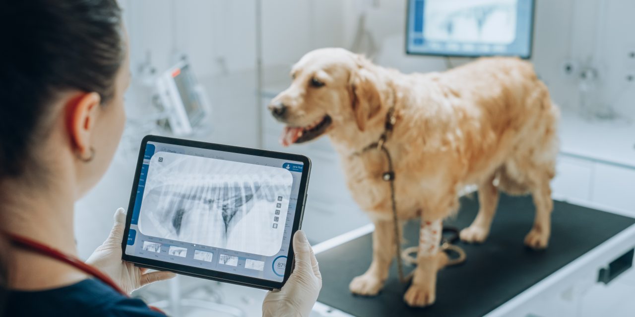 Will Oneplan Pet Insurance Cover My Pet’s Veterinary X Rays?