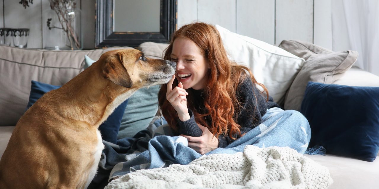 5 Funny Questions and Things We’ve Heard About Pet Insurance