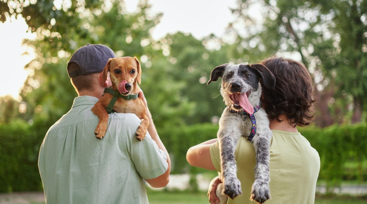 man's best friend