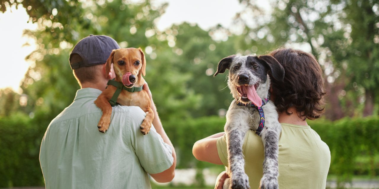 Protecting Man’s Best Friend – The Value of Pet Insurance (Like You’ve Never Seen It Before)