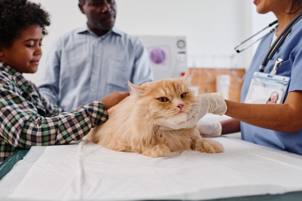 Is there a Vet Network with Oneplan Pet Insurance?
