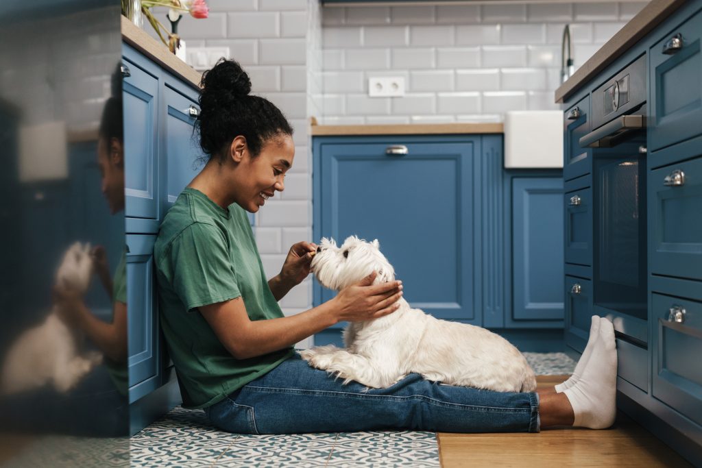 7 Reasons Why Having Pet Health Insurance Will Make Your Life Easier