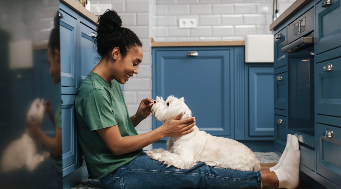 pet health