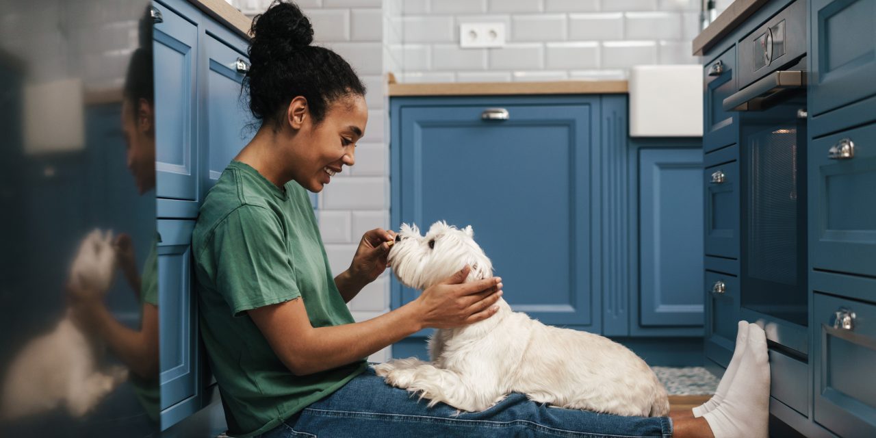 7 Reasons Why Having Pet Health Insurance Will Make Your Life Easier