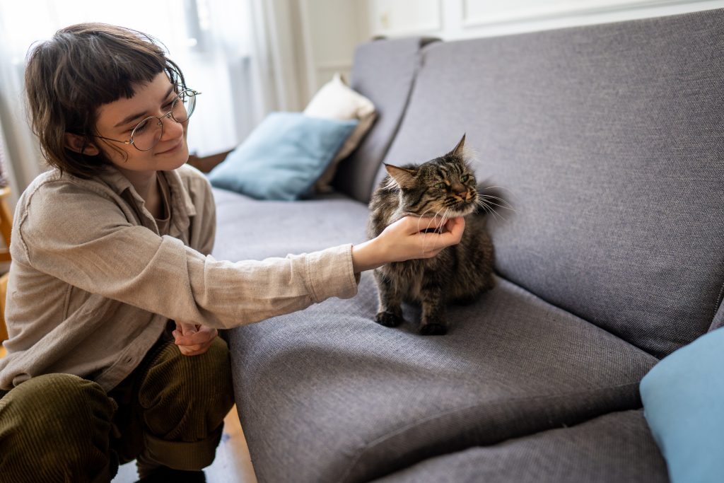 How to Choose the Right Pet Sitter for You (and Why It Matters for Pet Parents in South Africa)