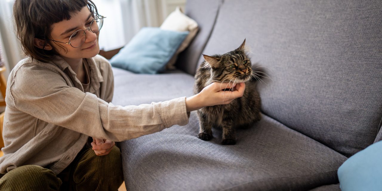 How to Choose the Right Pet Sitter for You (and Why It Matters for Pet Parents in South Africa)