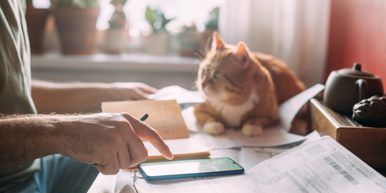 Help Your Budget With Pet Insurance In 2026