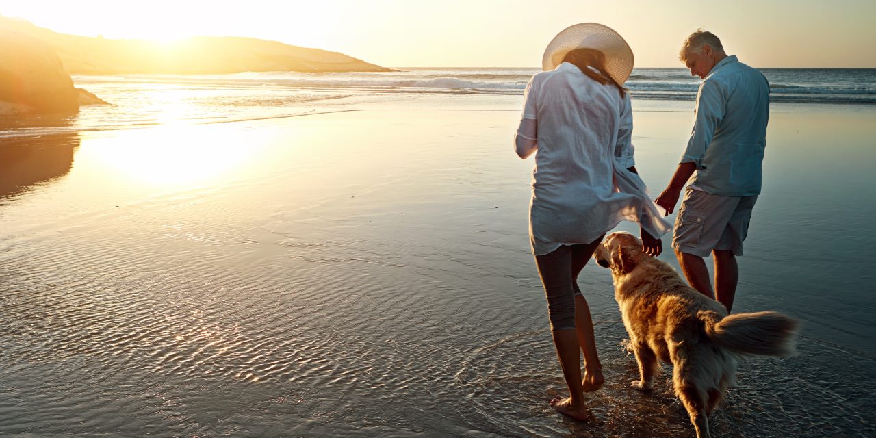 4 Reasons to Have Happy Holidays with Tail-O-Made Pet Insurance