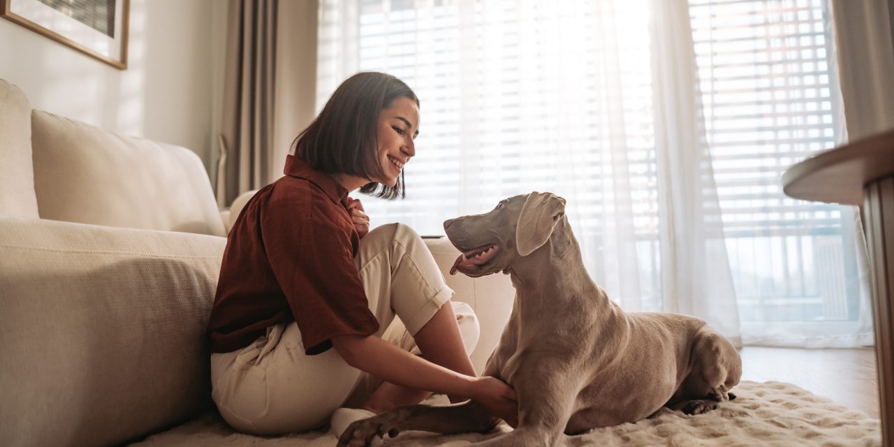 Why You Should Spend Time With Your Pet: How It’s Good for Both of You