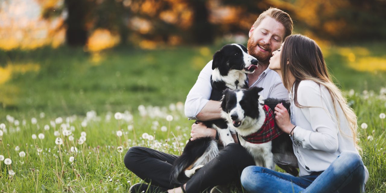 5 Ways to Be the Best Pet Owner Possible