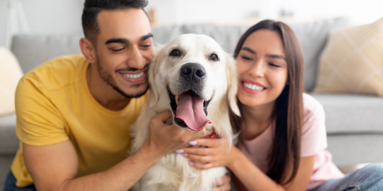 Choosing the Pawfect Pet Insurance Policy for Your Pet