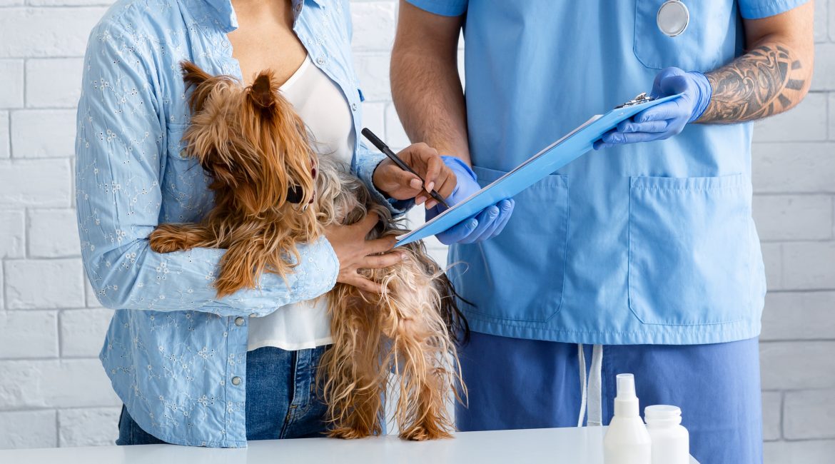 Pet med savings