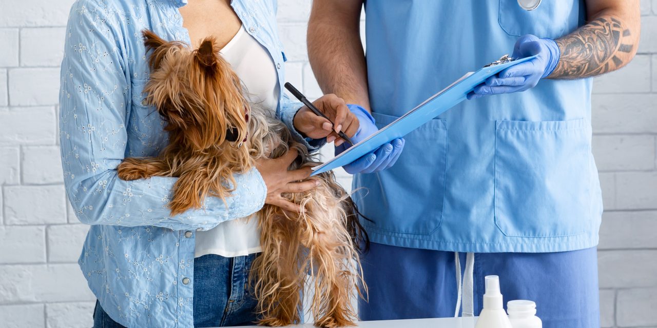 Understanding Pet Med Savings
