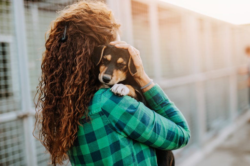Acts of Kindness for Pets