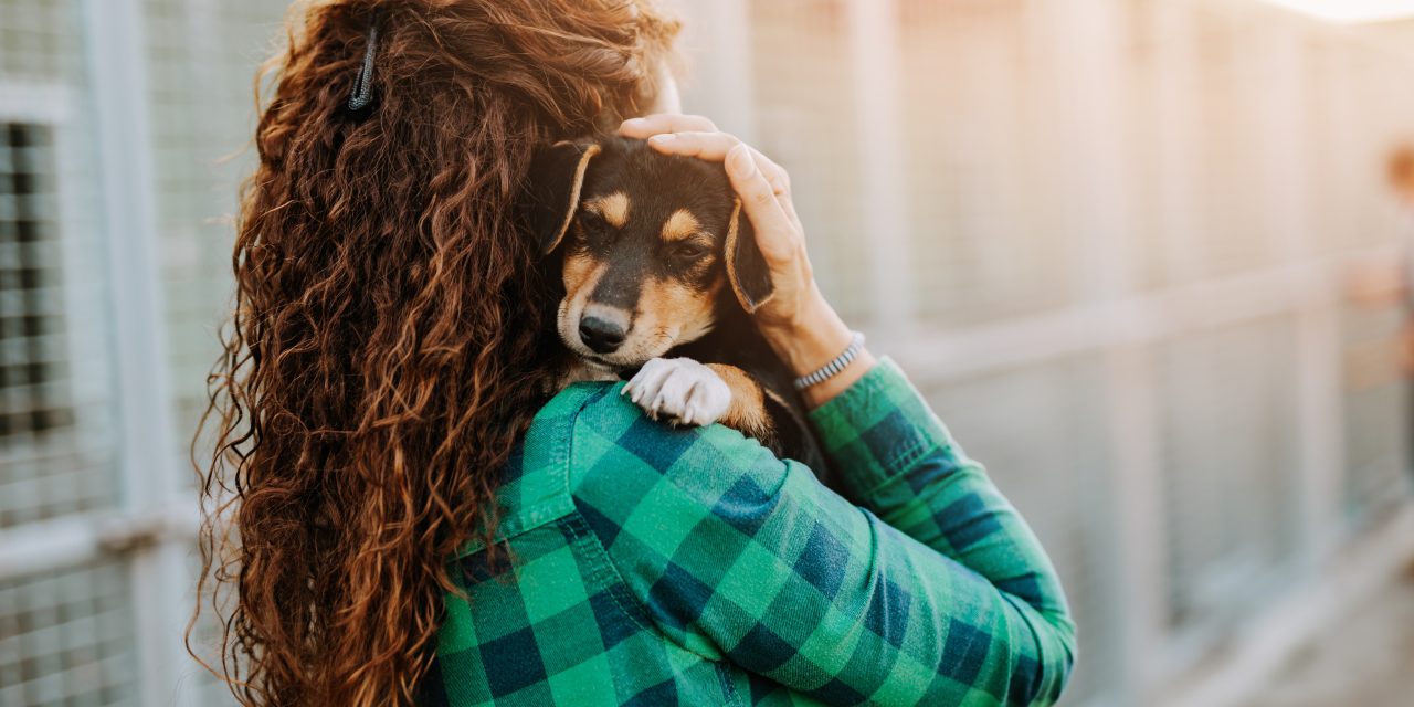 Acts of Kindness for Pets