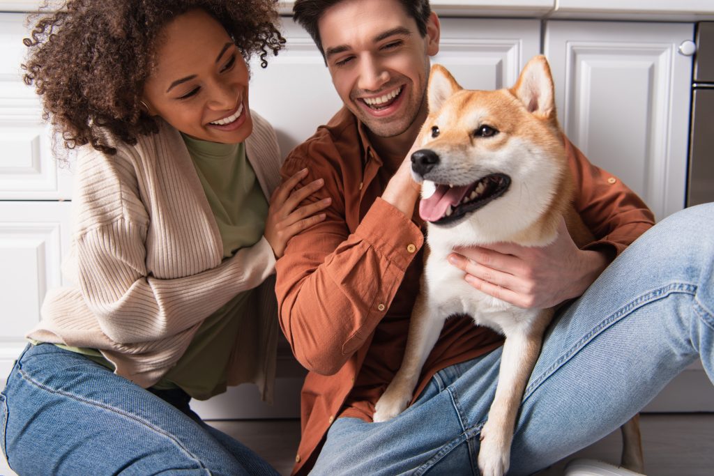 Which Oneplan Pet Insurance plan is right for you?