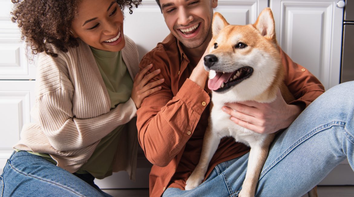 pet insurance plan