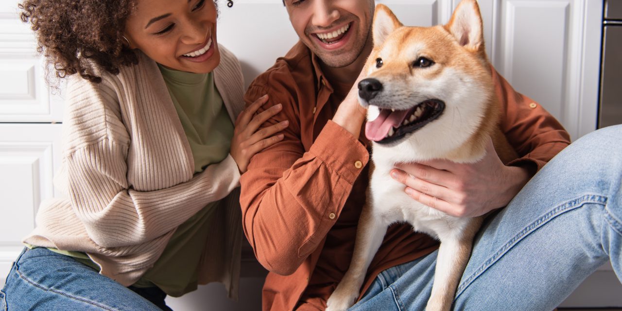 Which Oneplan Pet Insurance plan is right for you?