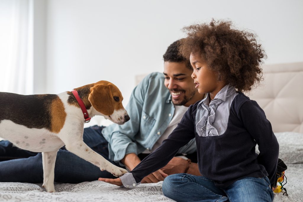 Pet ownership and its hidden costs