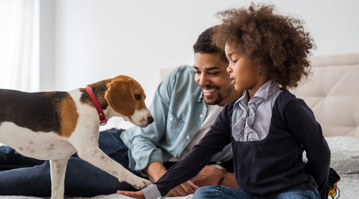 pet ownership