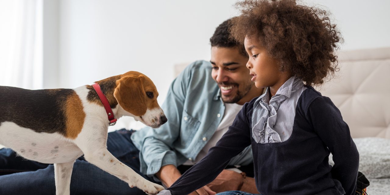 Pet ownership and its hidden costs