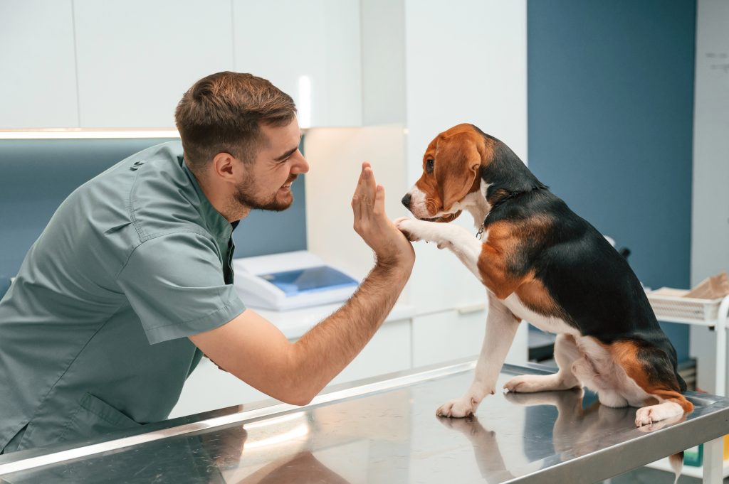 Pet Insurance Claims Made Simple with Oneplan