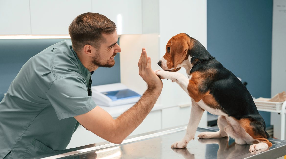 pet insurance claims