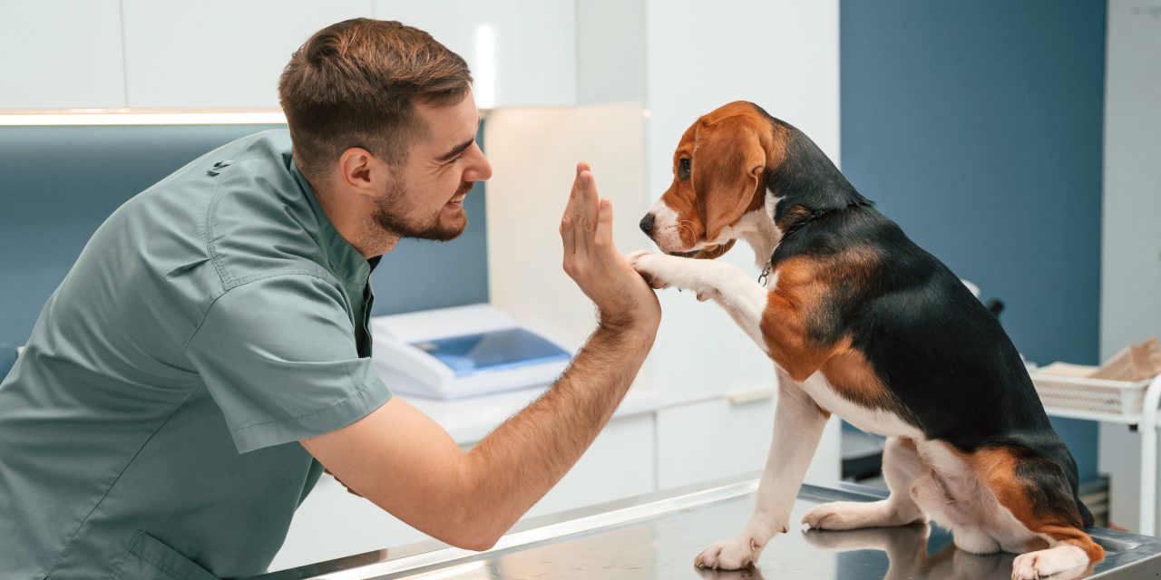 Pet Insurance Claims Made Simple with Oneplan