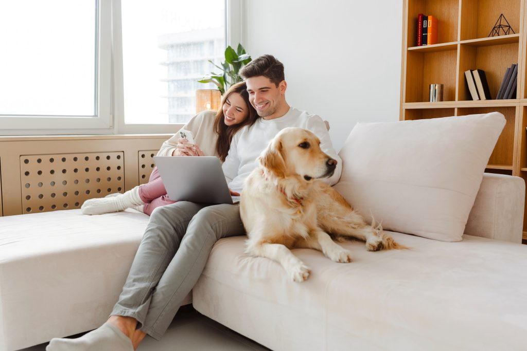 Your Smart Guide to Pet Insurance Exclusions