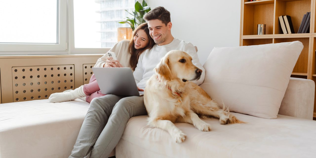Your Smart Guide to Pet Insurance Exclusions
