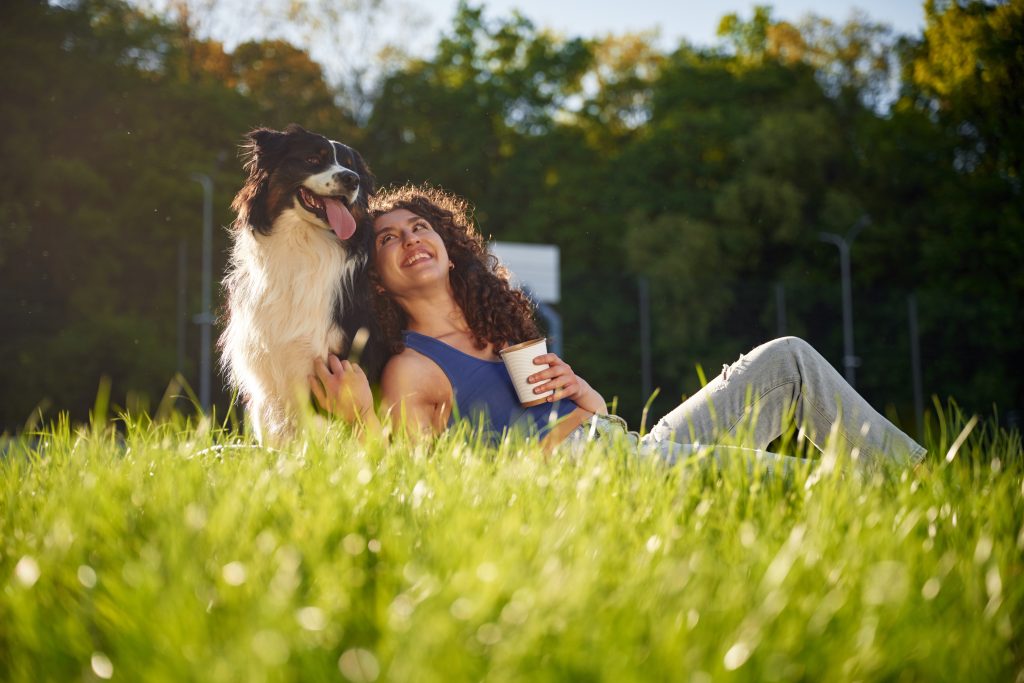 6 summer pet safety tips to keep your pet cool