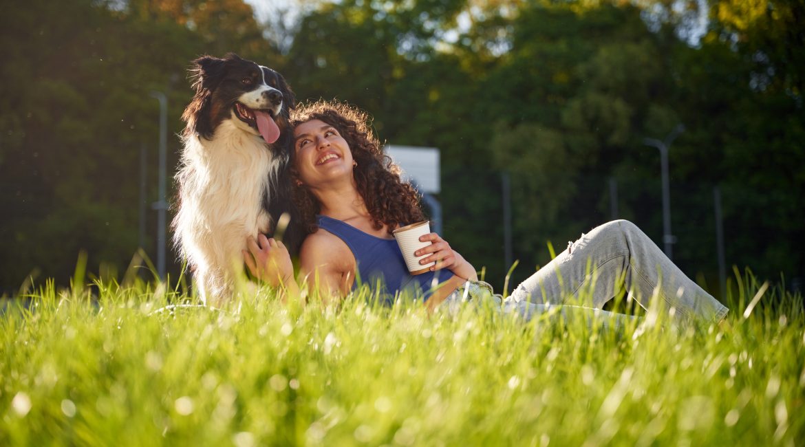 summer pet safety tips
