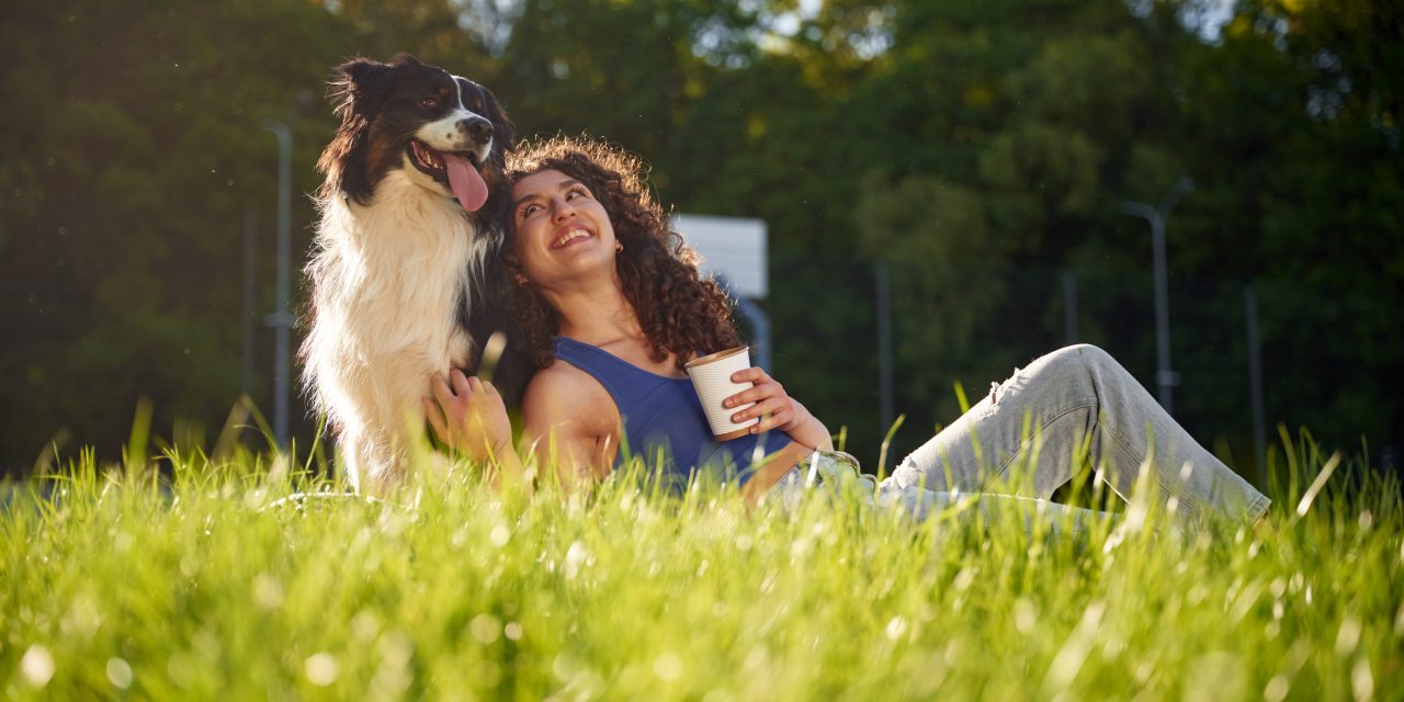 6 summer pet safety tips to keep your pet cool